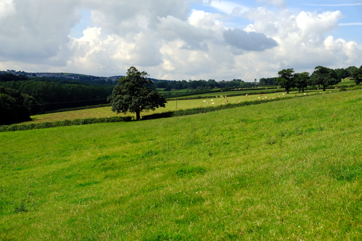 Silkstone, South Yorkshire