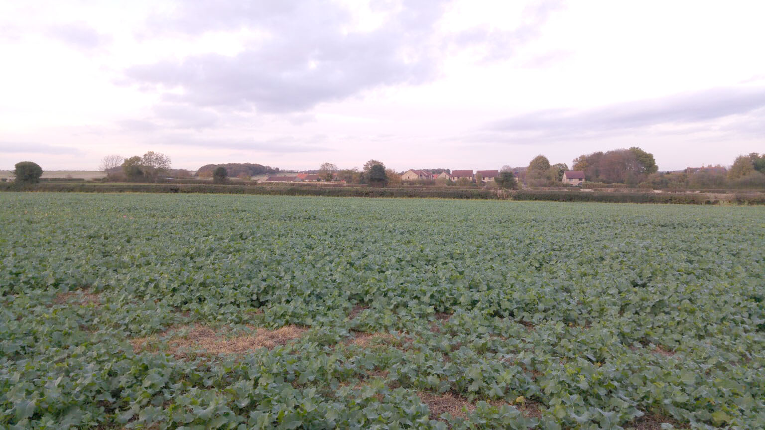 Woodsetts, South Yorkshire