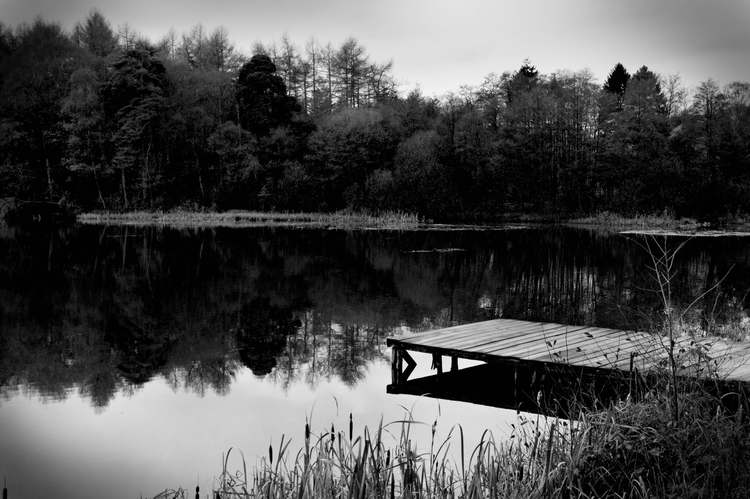 Ampleforth, North Yorkshire