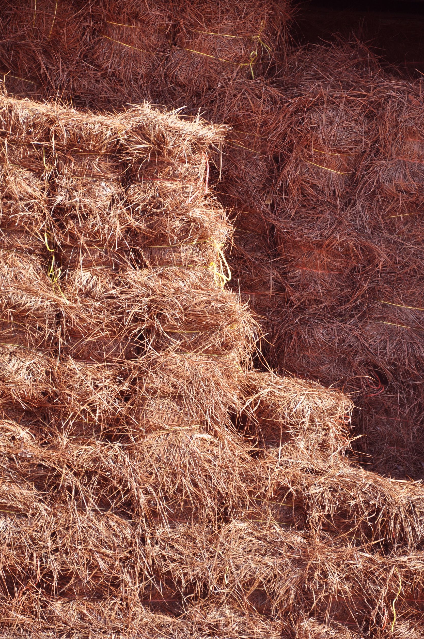 Straw, North Yorkshire