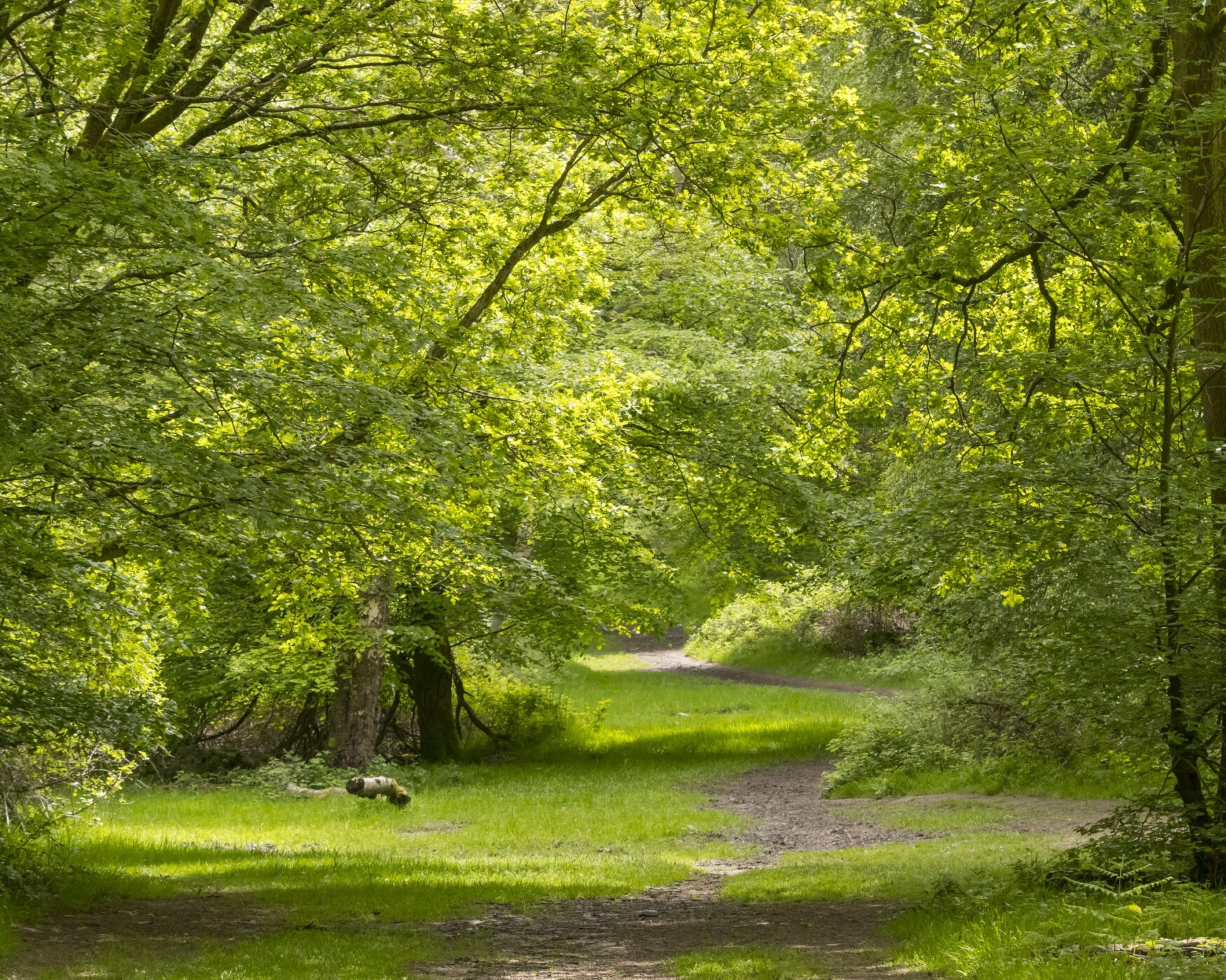 Fairlands, Hertfordshire