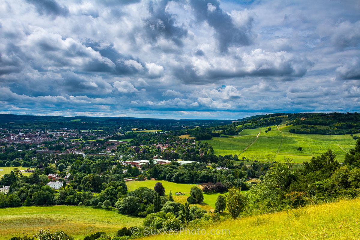 Shortfield Common, Surrey