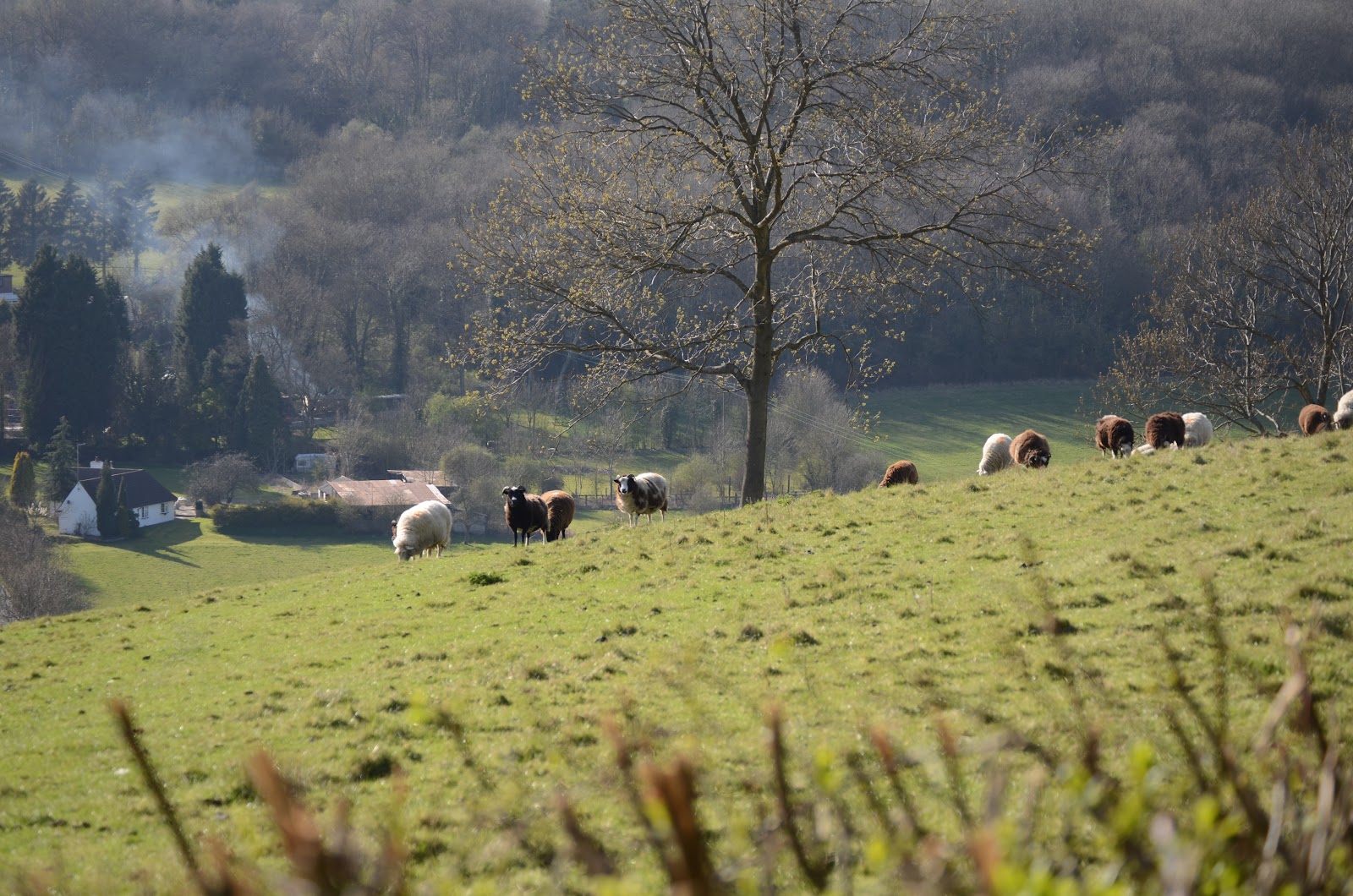 Downe, Kent