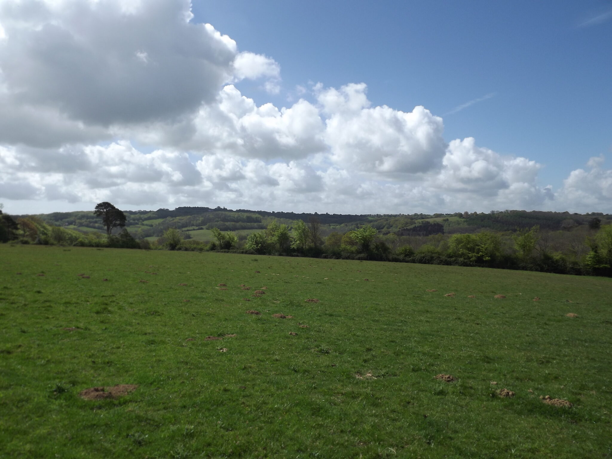 Broad Oak, East Sussex