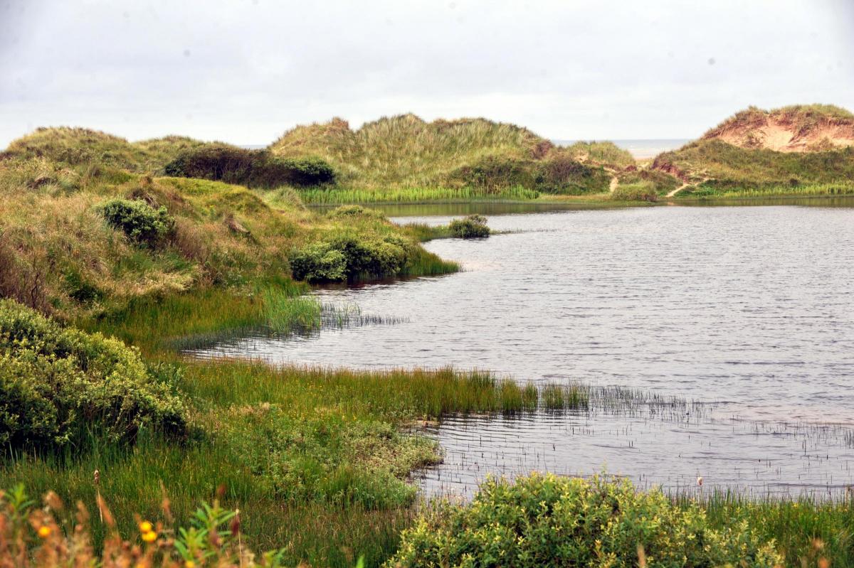 North Walney, Cumbria