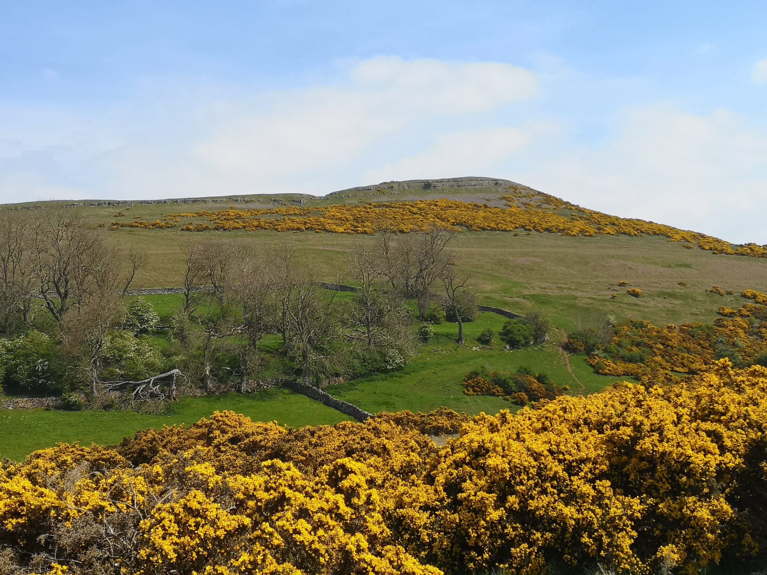 Bampton, Cumbria