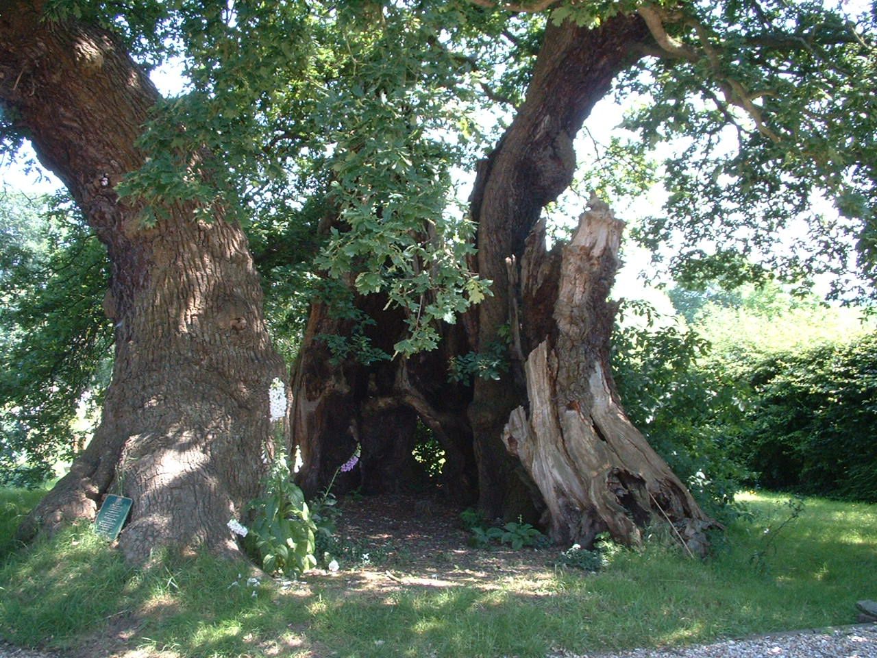 Marton, Cheshire